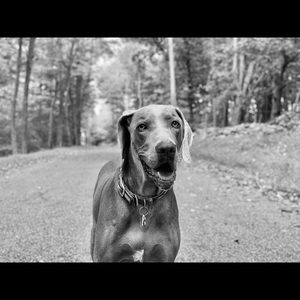 Meet your Posher, Caitlin